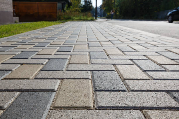 Best Driveway Paving Company  in Tropical Park, FL