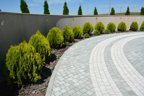 Best Driveway Paving Contractor  in Tropical Park, FL